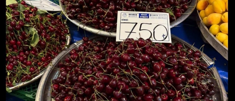 GÖREN GÖZLERİNE İNANAMADI