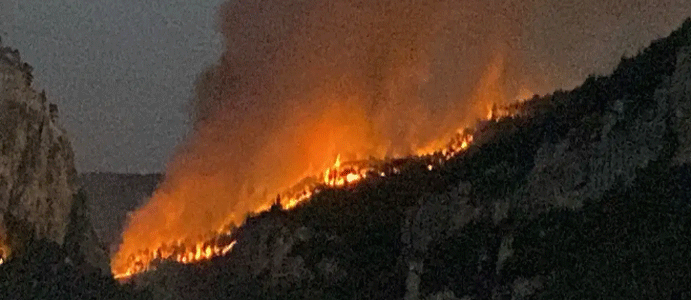 KARABÜK'TE BİR ORMAN YANGINI DAHA!