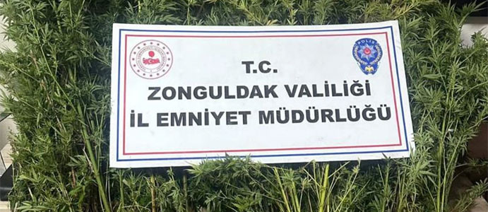 KENEVİR YETİŞTİREN 2 KİŞİ TUTUKLANDI