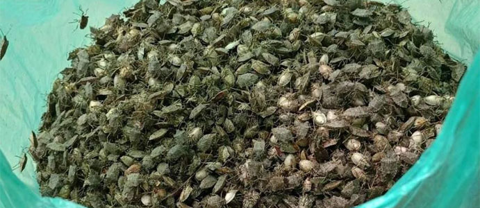 VATANDAŞ ÇARESİZ: TORBA DOLUSU YAKALANDILAR