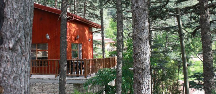 ‘BUNGALOV EV KİRALAMA’ VAADİYLE YÜZLERCE  VATANDAŞ DOLANDIRILDI