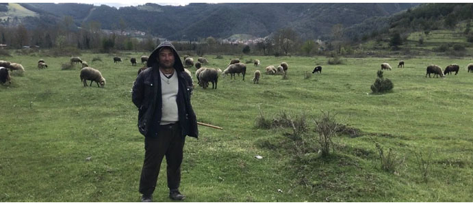 KURBAN BAYRAMI ÖNCESİ BÜYÜKBAŞ CEP YAKIYOR! 