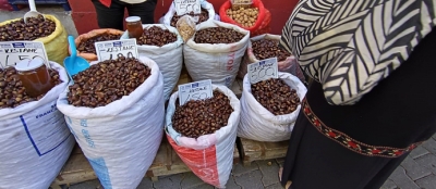 ALPARSLAN KESTANESİ 500 TL