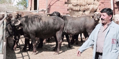 ARANAN MANDA BULUNDU