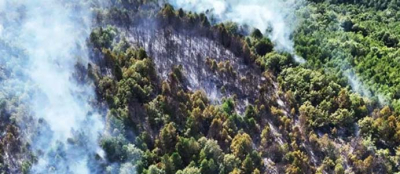 BAKAN TUNÇ FAİLLERİN BULUNMASI İÇİN TALİMAT VERDİ
