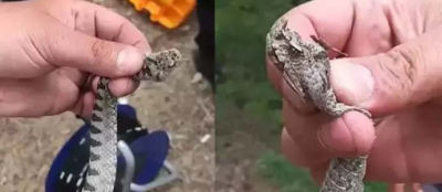 BU 2 TÜRE DİKKAT EDİN