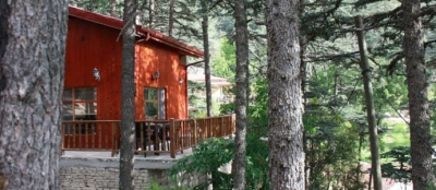 ‘BUNGALOV EV KİRALAMA’ VAADİYLE YÜZLERCE  VATANDAŞ DOLANDIRILDI