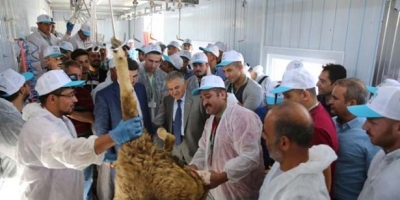 DEVREK’TE KURBAN KESİM KURSU VERİLECEK