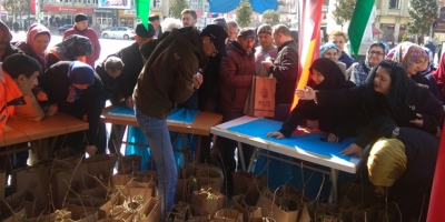 DEVREK’TE 2 BİN ADET FİDAN DAĞITILDI