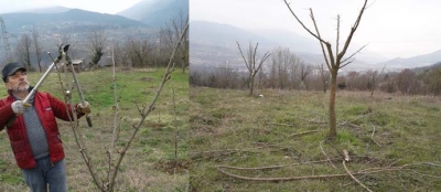 DEVREK’TE AYAK BASMADIK BAHÇE BIRAKMAYACAKLAR