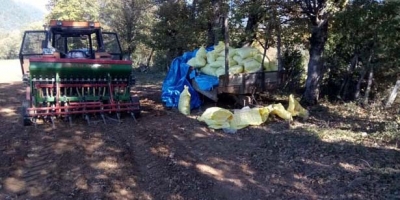 DEVREK’TE İLK KEZ KULLANILIYOR