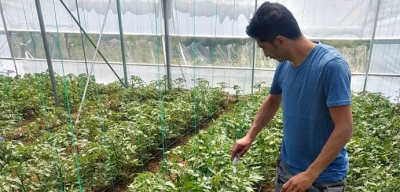 DEVREK'TE  KİMYASAL İLAÇ KİRLİLİĞİ AZALACAK