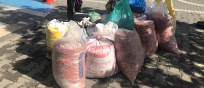 DEVREK’TE KUŞBURNU HASADI SONA ERİYOR