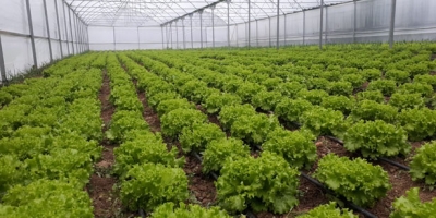 DEVREK’TE TEK ÇATI ALTINDA TEK ÜRÜN