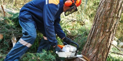 FECİ KAZA, AĞACIN ALTINDA KALDI