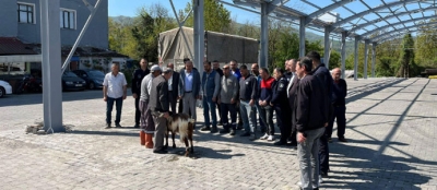 GÖKÇEBEY’DE KAPALI PAZAR  YERİ İÇİN KURBAN KESİLDİ