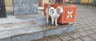 GÖZÜ YOLLARDA KALDI