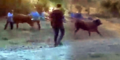 İKİ KİŞİYİ YARALADI SONRA KAYIPLARA KARIŞTI