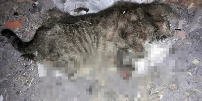 İNSANLIĞINIZI NE ZAMAN ÖLDÜRDÜNÜZ?