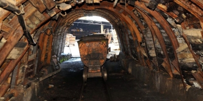  İSTENİLEN VERİM ALINAMAYINCA SÖKÜLMEYE BAŞLANDI