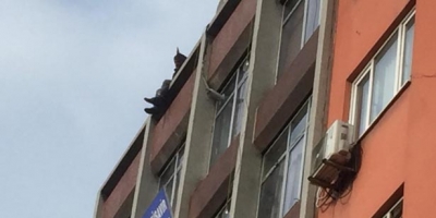 KENT MERKEZİNDE İNTİHAR GİRİŞİMİ