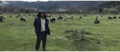 KURBAN BAYRAMI ÖNCESİ BÜYÜKBAŞ CEP YAKIYOR! 