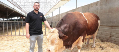 KURBANLIKLARDA REKOR: 7 YILDA YÜZDE 1417 ARTTI