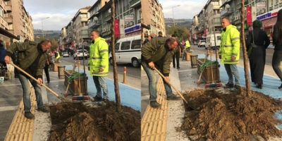 MANOLYA GİBİSİN SEMERCİ!