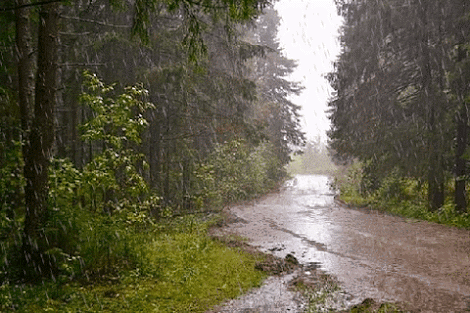 METEOROLOJİ UYARDI GÖK GÜRÜLTÜLÜ SAĞANAK GELİYOR