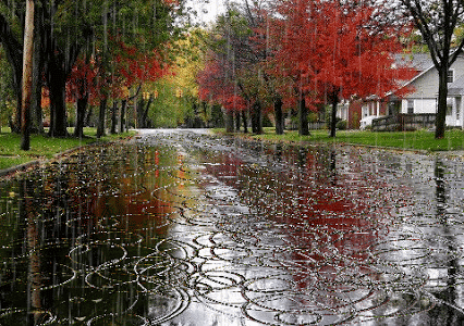 METEOROLOJİ UYARDI GÖK GÜRÜLTÜLÜ SAĞANAK GELİYOR