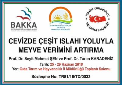 TARIM DIŞI KALAN ARAZİLER ÜRETİME KATILACAK