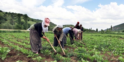 TARIMLA DOLU DOLU GEÇECEK BİR HAFTA