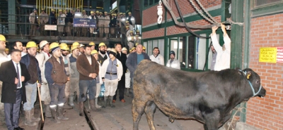 TTK'DE YENİ KARTİYE ÜRETİME AÇILDI