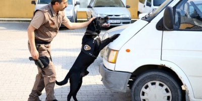 TURANLI: SABAH, AKŞAM HABERLERDESİN 