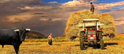 TZOB'DAN HÜKÜMETE VERGİ ÇAĞRISI:  SAVAŞIN MALİYETİ TARIMI VURDU