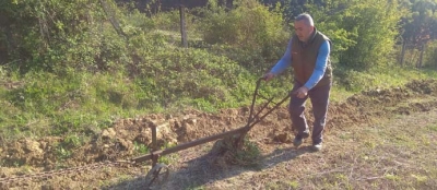 YILLAR SONRA DEMİR PULLUKLA TARLA SÜRDÜ